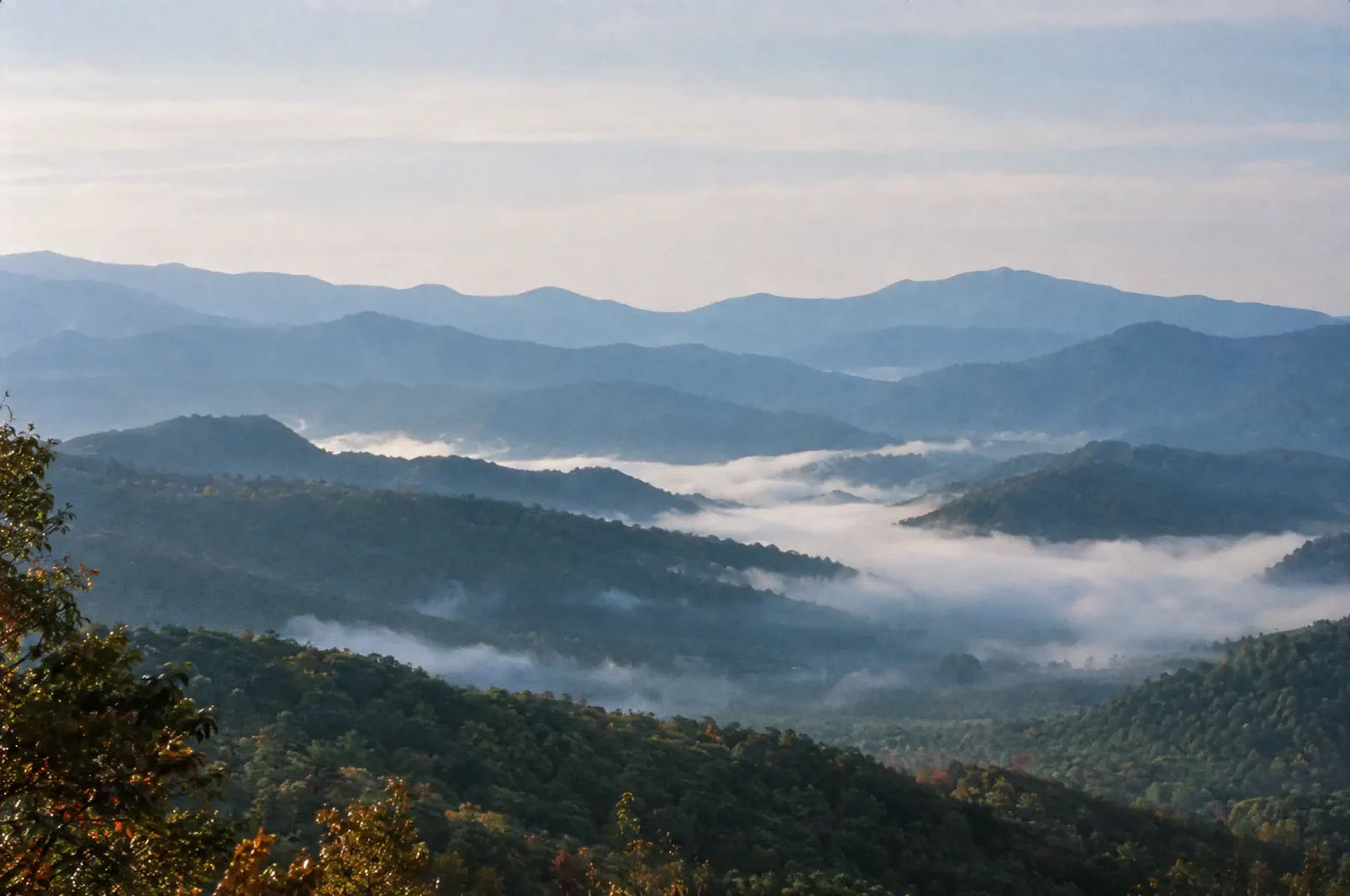 Morning fog settling between the ridges.