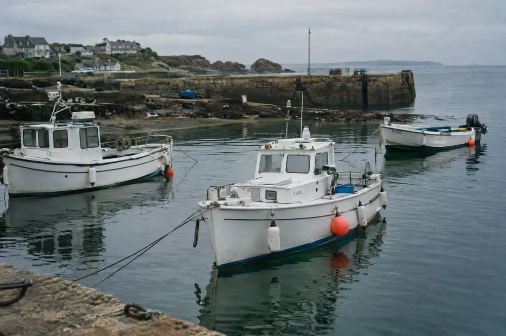 Workboats in the harbour.